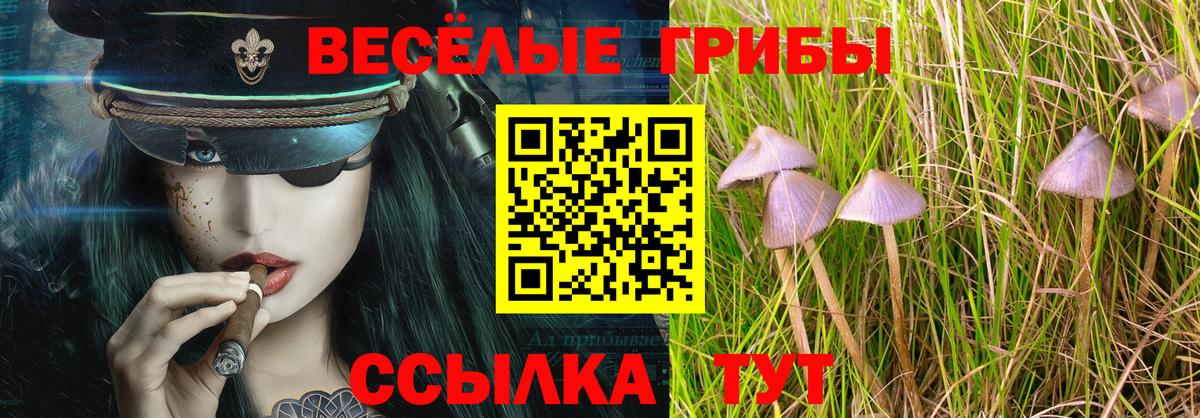 Лангепас  Галлюциногенные грибы мухоморы  Вход с VPN 